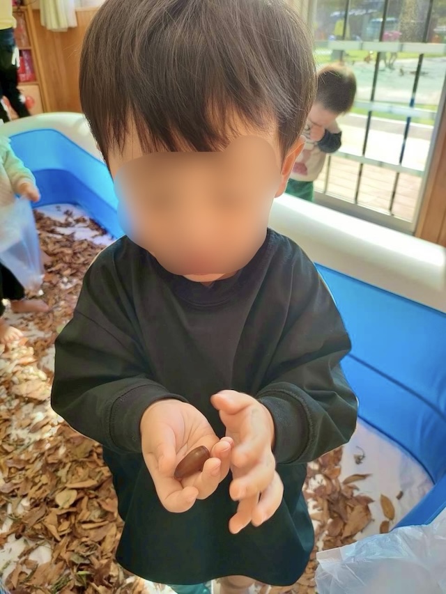 秋を体感したよ