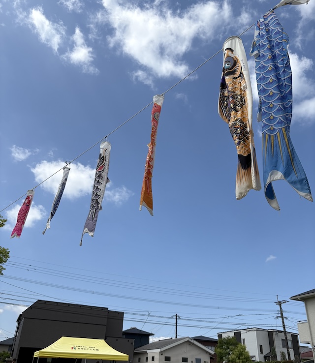 こいのぼり運動会🎏